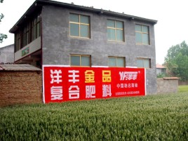 十堰如何让墙体广告展现最大化效果